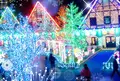 東京ドイツ村の写真_55799