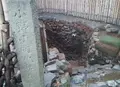 随心院の写真_63329