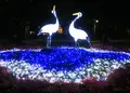 鶴舞公園の写真_209292