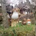 信楽陶芸村の写真_129329
