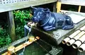 菅原院天満宮神社の写真_82714