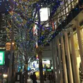 御堂筋の写真_207098