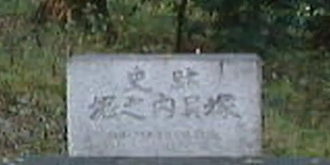 市川市北部で縄文堪能
