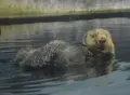 のとじま水族館　の写真_28709