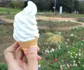 北アルプス牧場の写真_186368