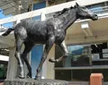笠松競馬場の写真_24685