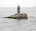 上陸大師の写真_131512