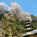 興聖寺の写真_354714
