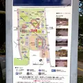 維新百年記念公園の写真_399365