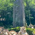 大本山 狸谷山不動院の写真_431274