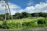 足摺巨石群 唐人駄場遺跡