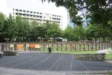 信義区信義広場狗活動区