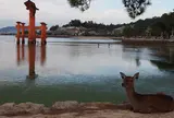 宮島