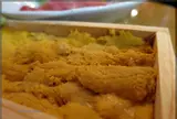 しらすくじら
