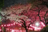 新井薬師公園