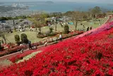 不老山総合公園