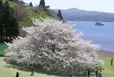箱根園