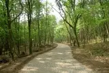 国営アルプスあづみの公園大町・松川地区