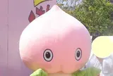 ももたん