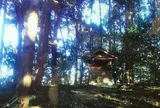 スダジイ北限＆愛宕さま