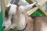 ZOO恵比寿