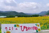 ひまわり祭りメイン会場　南光スポーツ公園