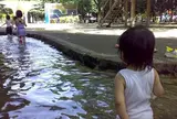 こどものひろば公園