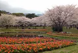 別府公園