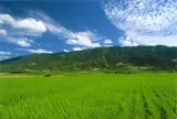 耳納連山 R151
