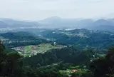 西東京パラグライダースクール