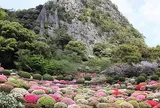 黒髪山県立自然公園