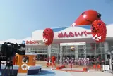 めんたいパークとこなめ