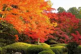 詩仙堂 丈山寺