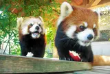 大牟田市動物園