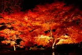県立秦野戸川公園　※秦野市