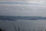 有田みかん街道