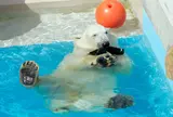 男鹿水族館GAO