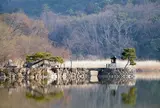 観月の名所 「広沢池」