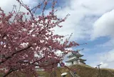 宇都宮城址公園