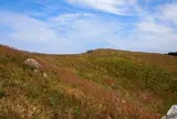 生石高原
