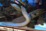 ドン・キホーテ 中目黒本店