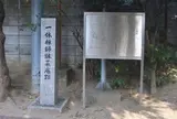 上住吉西公園
