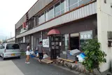 白菊