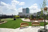 Q-COURT