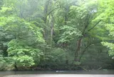 奥入瀬渓流