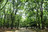 代々木公園