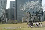 区立檜町公園