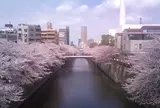 目黒川
