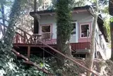 そらいろのたね