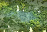 白川水源